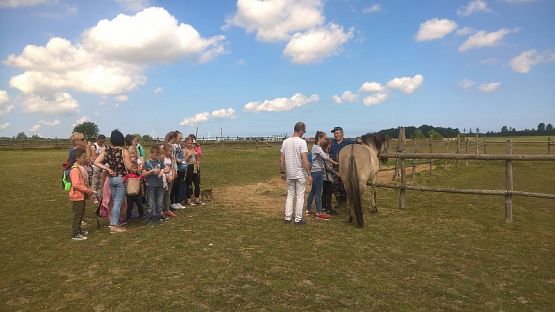 Grafika #33: Wycieczka do Swołowa i Jarosławca