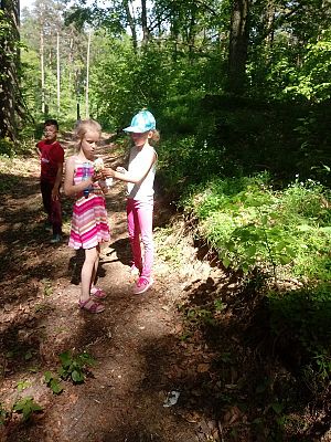  Grafika #14: Lekcja w terenie