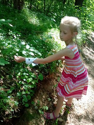 Grafika #16: Lekcja w terenie