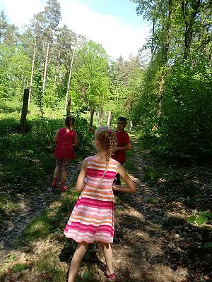 Grafika #2: Lekcja w terenie