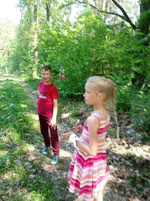 Grafika #17: Lekcja w terenie