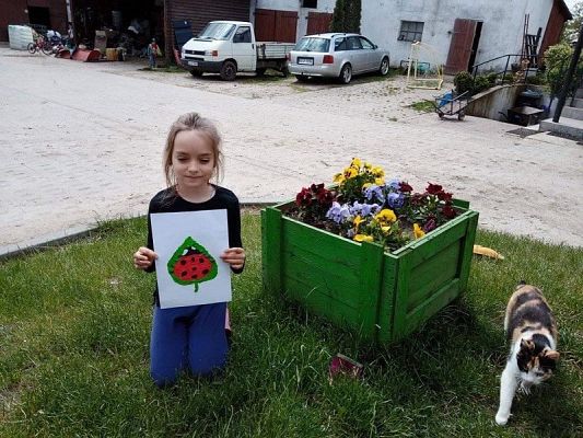  Grafika #7: Oddział przedszkolny 6 - latki pracuje zdalnie
