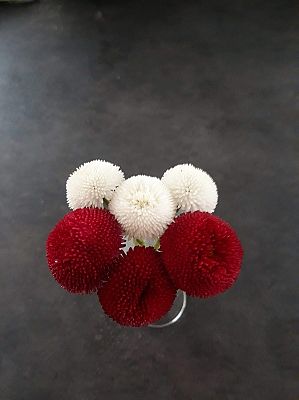 Grafika #3: 3 maja - co to za święto? My już wiemy! A Wy???