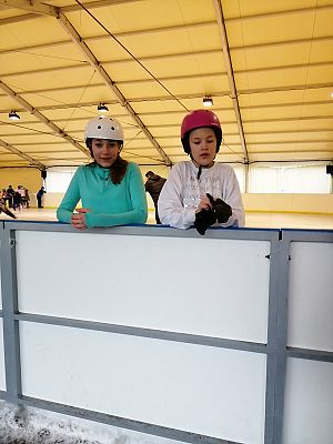  Grafika #3: Wyjazd na lodowisko w Łebie