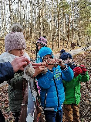  Grafika #2: Dokarmianie zwierząt zimą