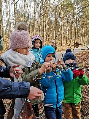  Grafika #3: Dokarmianie zwierząt zimą
