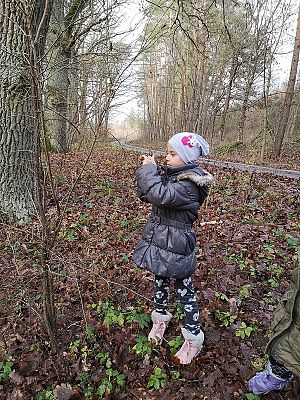  Grafika #1: Dokarmianie zwierząt zimą