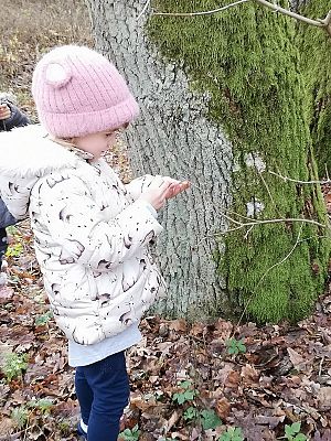  Grafika #7: Dokarmianie zwierząt zimą