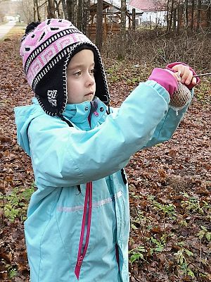  Grafika #9: Dokarmianie zwierząt zimą