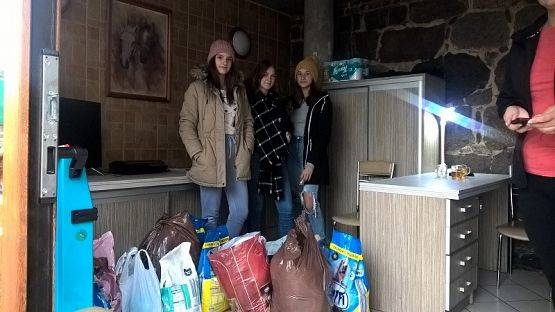  Grafika #1: Wizyta w schronisku zwierząt w Małoszycach