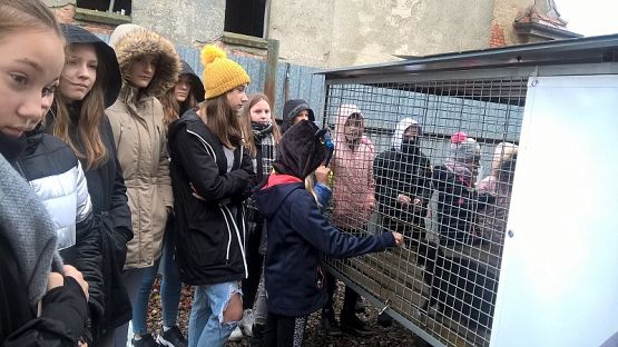  Grafika #3: Wizyta w schronisku zwierząt w Małoszycach