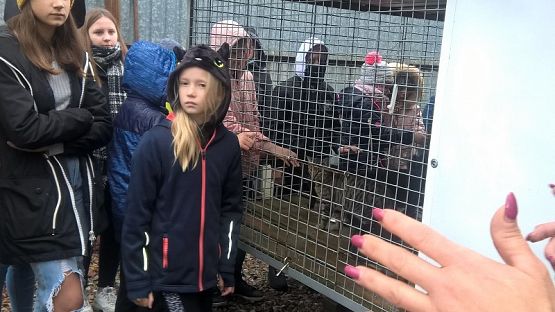  Grafika #4: Wizyta w schronisku zwierząt w Małoszycach