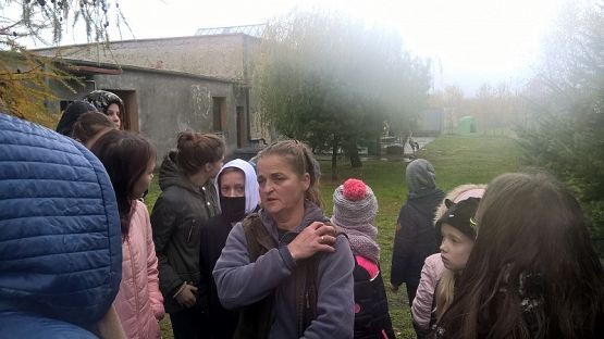  Grafika #2: Wizyta w schronisku zwierząt w Małoszycach