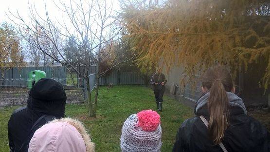  Grafika #7: Wizyta w schronisku zwierząt w Małoszycach