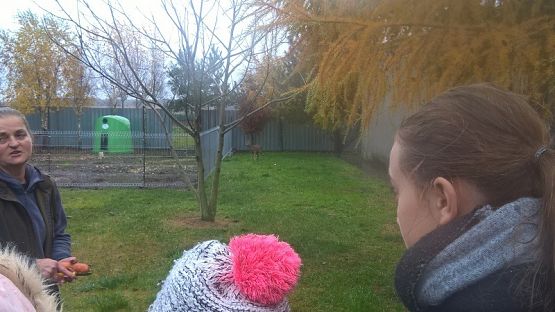  Grafika #9: Wizyta w schronisku zwierząt w Małoszycach