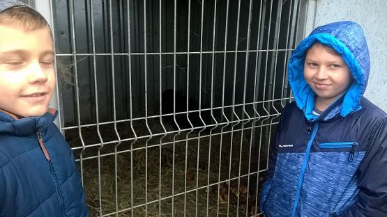  Grafika #12: Wizyta w schronisku zwierząt w Małoszycach