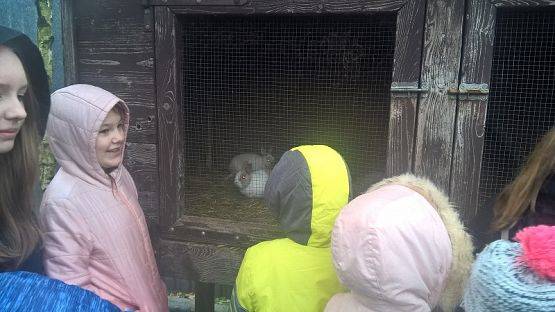  Grafika #13: Wizyta w schronisku zwierząt w Małoszycach