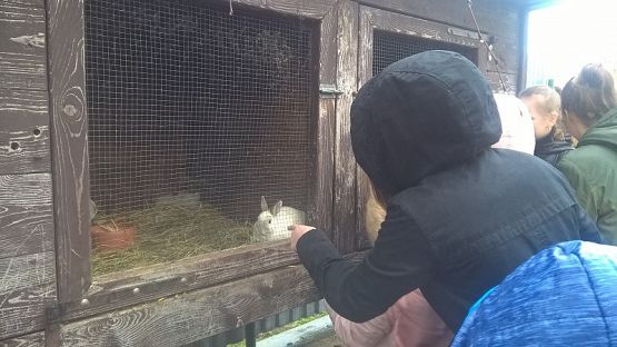  Grafika #15: Wizyta w schronisku zwierząt w Małoszycach