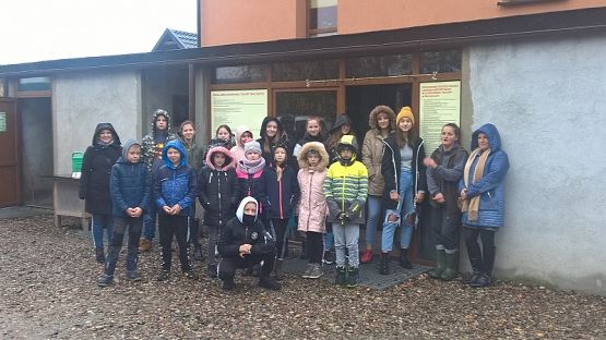  Grafika #19: Wizyta w schronisku zwierząt w Małoszycach