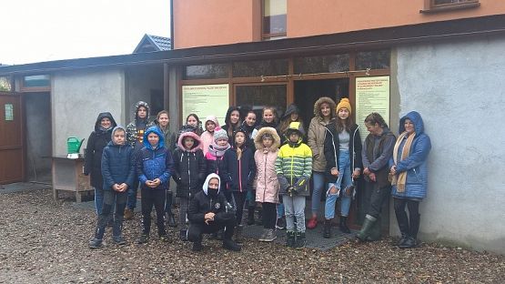  Grafika #18: Wizyta w schronisku zwierząt w Małoszycach