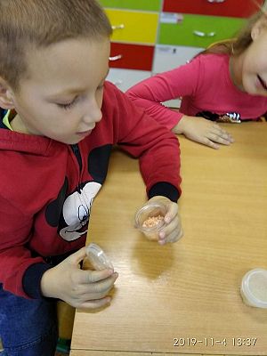  Grafika #8: Zajęcia laboratoryjne w oddziale przedszkolnym