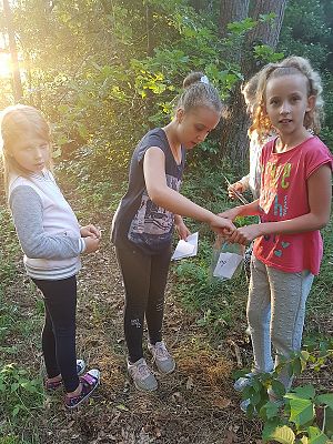 Grafika #0: Biwak kl. III w szkole