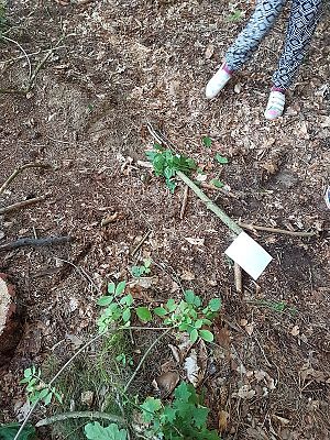 Grafika #34: Biwak kl. III w szkole