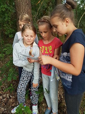 Grafika #19: Biwak kl. III w szkole