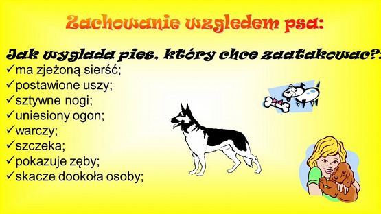  Grafika #6: Bądź bezpieczny na WAKACJACH!