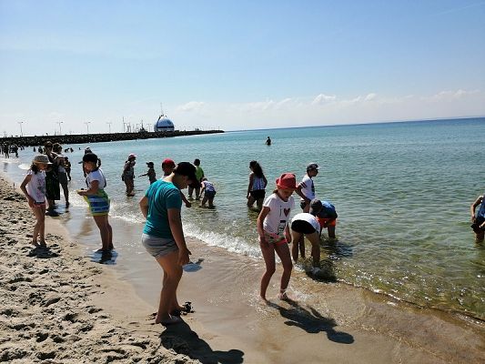  Grafika #25: Wycieczka na Hel