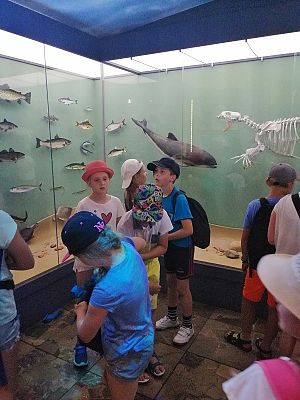  Grafika #7: Wycieczka na Hel