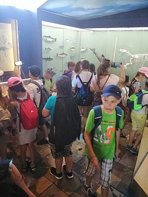  Grafika #30: Wycieczka na Hel