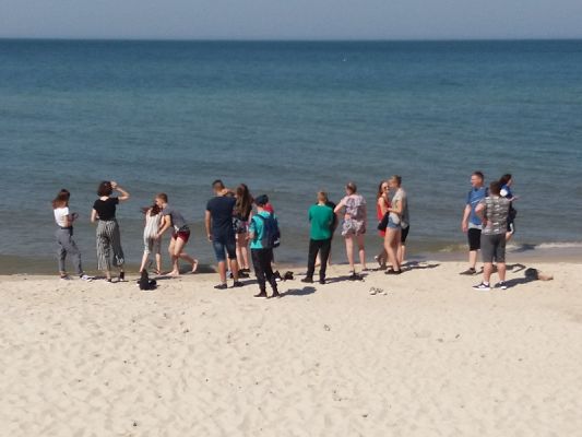  Grafika #53: Wycieczka klasy VIII do Jastrzębiej Góry