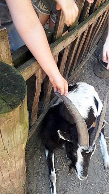  Grafika #7: Zwiedzamy Muzeum archeologiczne w Sopocie