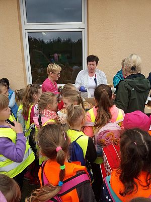  Grafika #1: Dzień Dziecka 2019