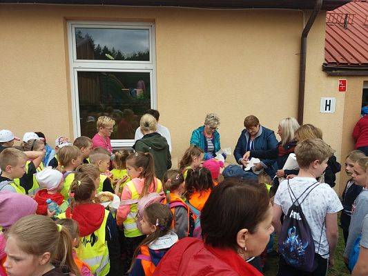  Grafika #72: Dzień Dziecka 2019