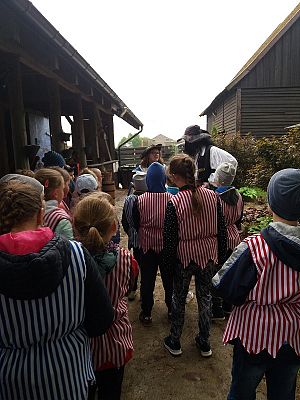  Grafika #23: Wycieczka do Grąbkowa