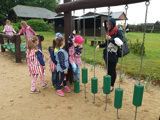  Grafika #61: Wycieczka do Grąbkowa