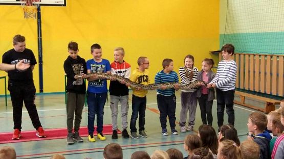  Grafika #15: CYRK PRZYJECHAŁ!