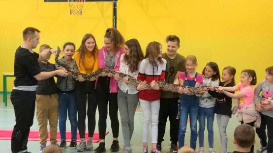  Grafika #27: CYRK PRZYJECHAŁ!