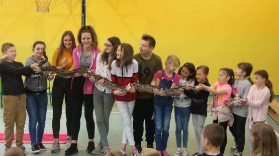  Grafika #39: CYRK PRZYJECHAŁ!