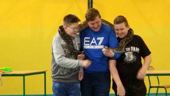  Grafika #60: CYRK PRZYJECHAŁ!