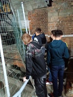  Grafika #48: Wycieczka do Gdańska