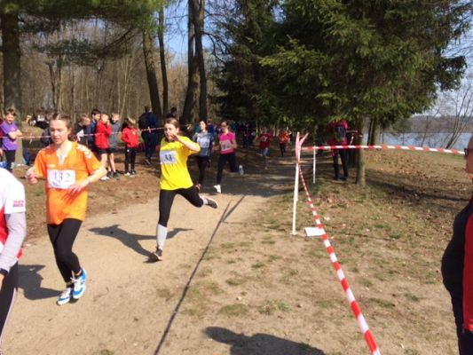 Grafika #2: Zawody w Drużynowych Biegach Przełajowych Dziewcząt i Chłopców w ramach Igrzysk Dzieci oraz Igrzysk Młodzieży Szkolnej.