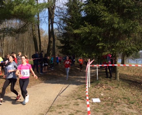 Grafika #3: Zawody w Drużynowych Biegach Przełajowych Dziewcząt i Chłopców w ramach Igrzysk Dzieci oraz Igrzysk Młodzieży Szkolnej.