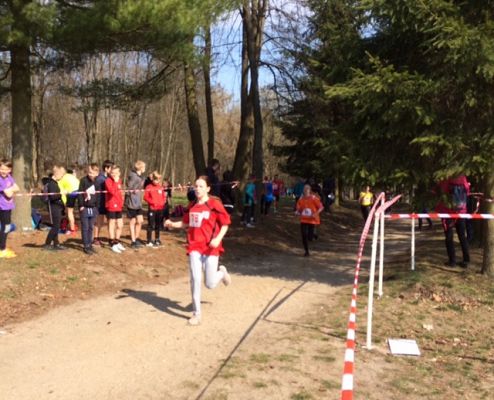 Grafika #1: Zawody w Drużynowych Biegach Przełajowych Dziewcząt i Chłopców w ramach Igrzysk Dzieci oraz Igrzysk Młodzieży Szkolnej.