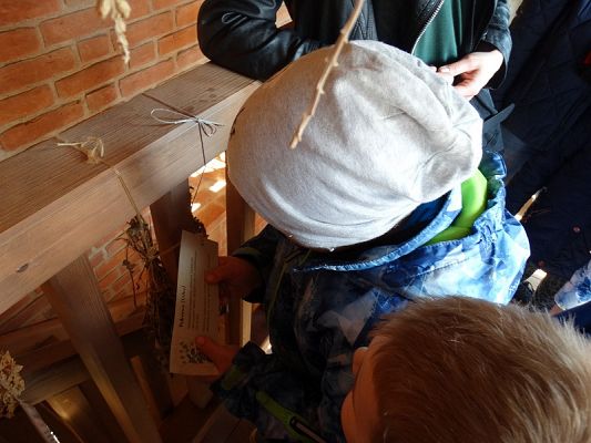  Grafika #28: Wycieczka do Muzeum w Lęborku