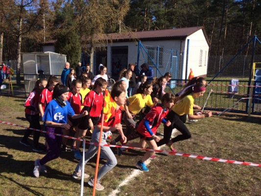 Grafika #6: Powiatowe zawody w biegach przełajowych dziewcząt i chłopców w ramach Igrzysk Dzieci oraz Igrzysk Młodzieży Szkolnej.