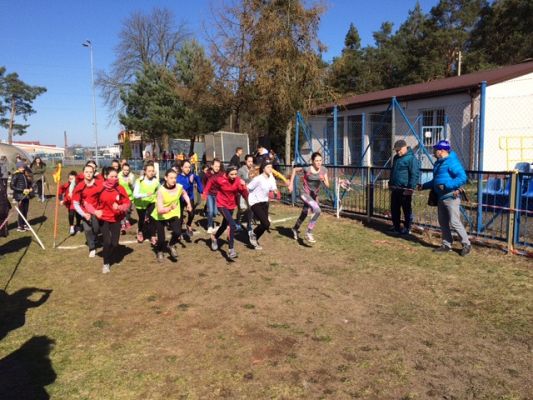 Grafika #1: Powiatowe zawody w biegach przełajowych dziewcząt i chłopców w ramach Igrzysk Dzieci oraz Igrzysk Młodzieży Szkolnej.