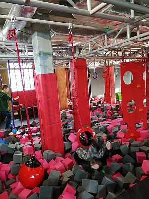  Grafika #1: Wycieczka do Centrum Rozrywki dla dzieci Madagaskar